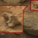 Searching for alien life in Mars photos